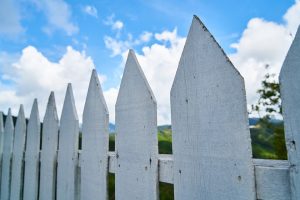 Read more about the article How to Clean a Wood Fence the Right Way