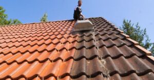 Read more about the article Don’t Replace Your Roof, Clean It!