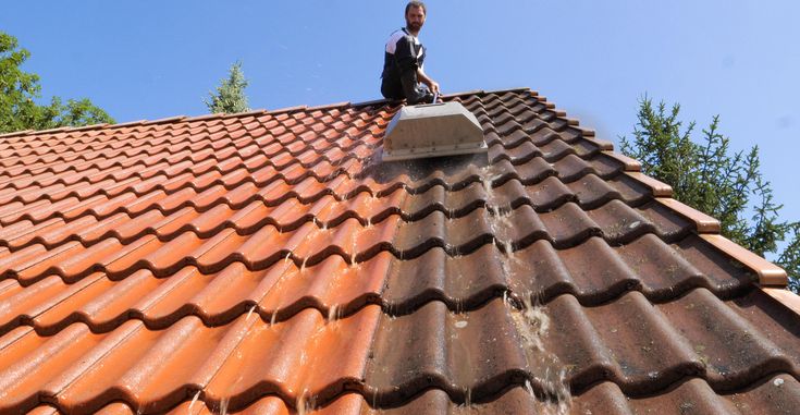 Read more about the article Don’t Replace Your Roof, Clean It!