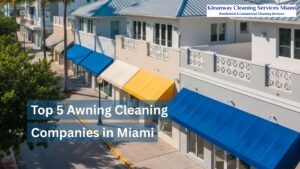 Read more about the article Top 5 Awning Cleaning Companies in Miami
