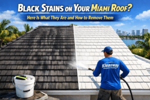 Read more about the article Black Stains on Your Miami Roof Here Is What They Are and How to Remove Them