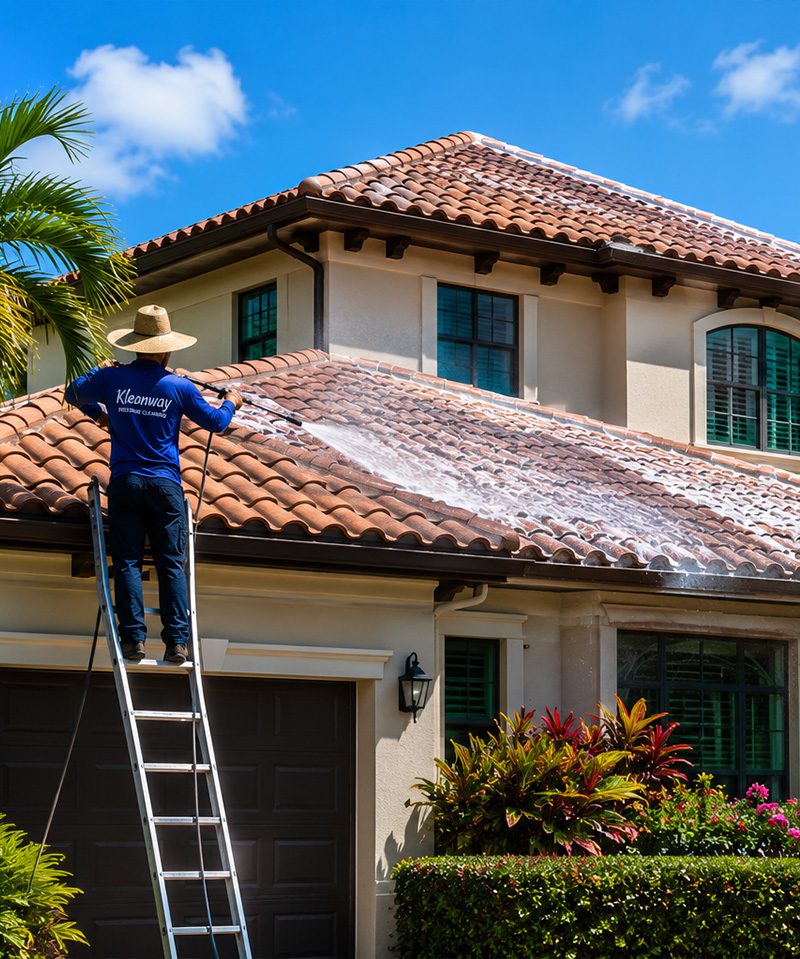 roof cleaning