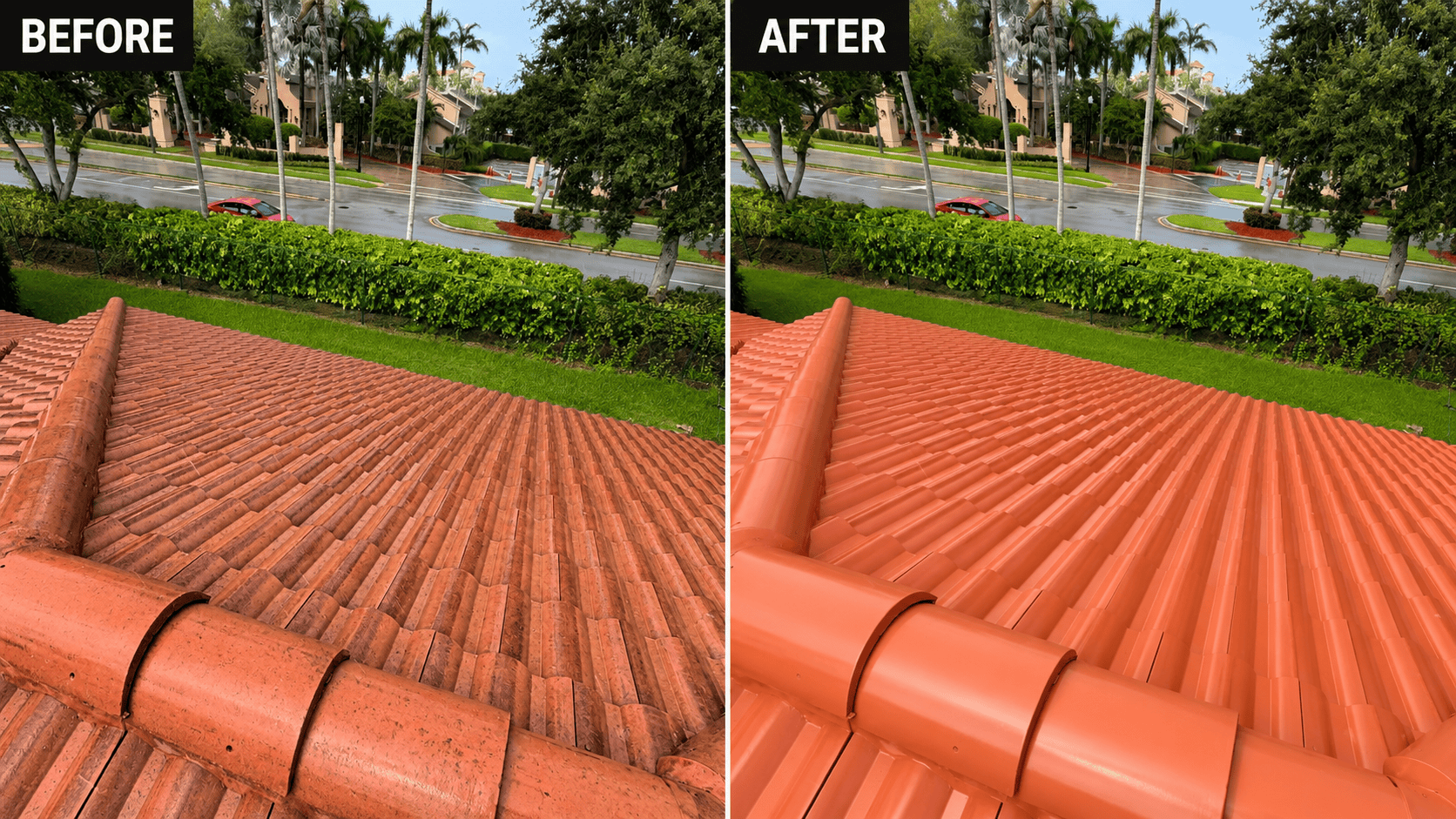 roof cleaning homestead