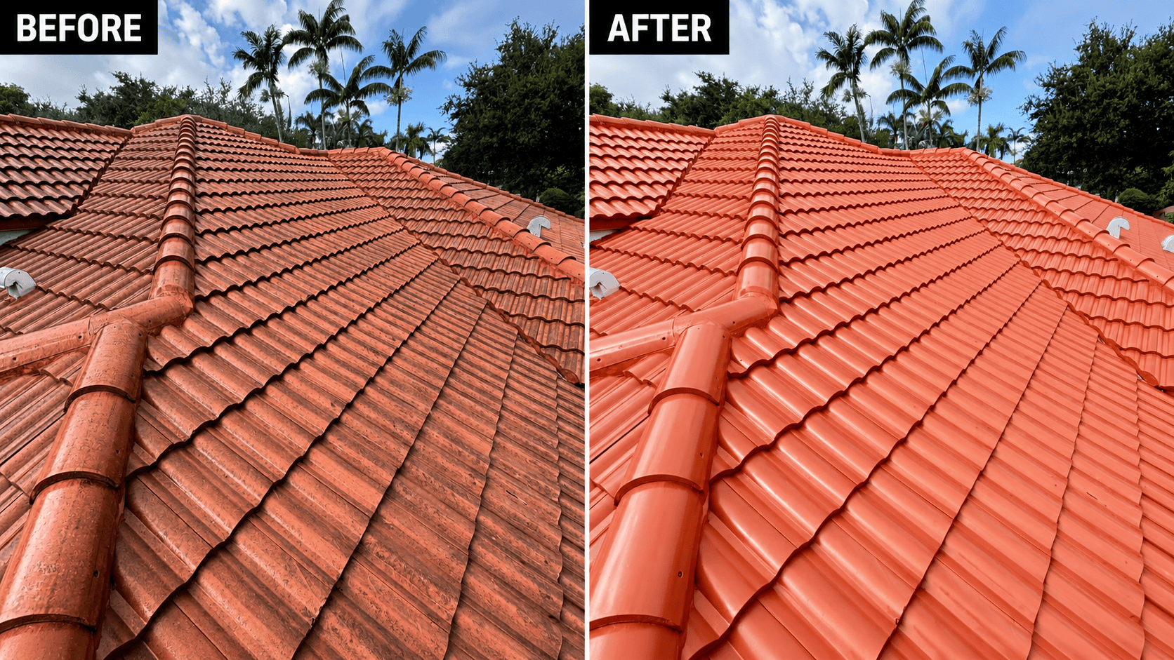 roof cleaning homestead