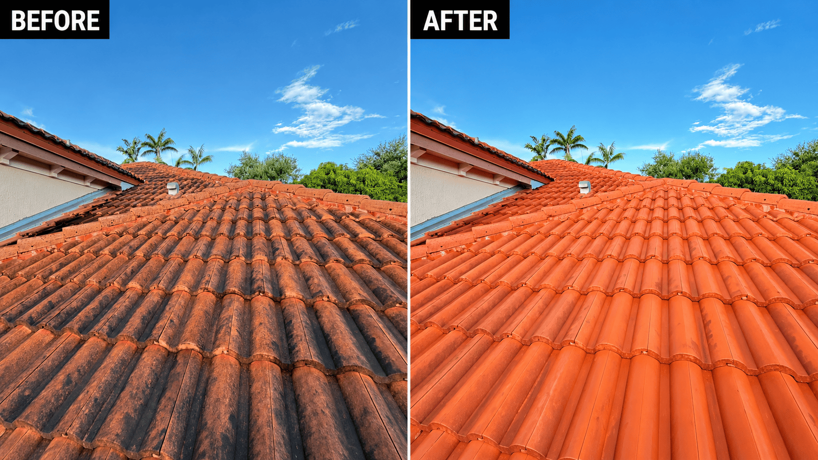 roof cleaning homestead