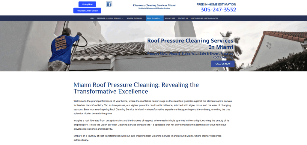 Roof Cleaning Companies